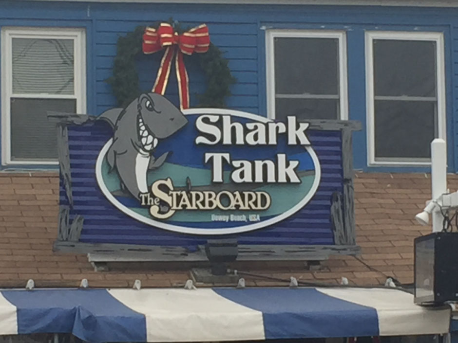 181_shark-tank New Article